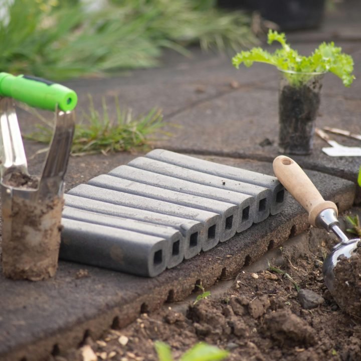 Close-up of gardening tools and seedlings in an outdoor garden setting, ideal for planting enthusiasts.